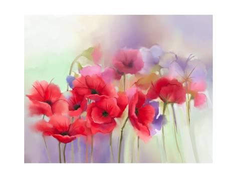 473x355 Watercolor Red Poppy Flowers Painting. Flower Paint In Soft Color
