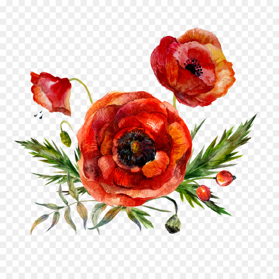 900x900 Watercolor Painting Flower Poppy