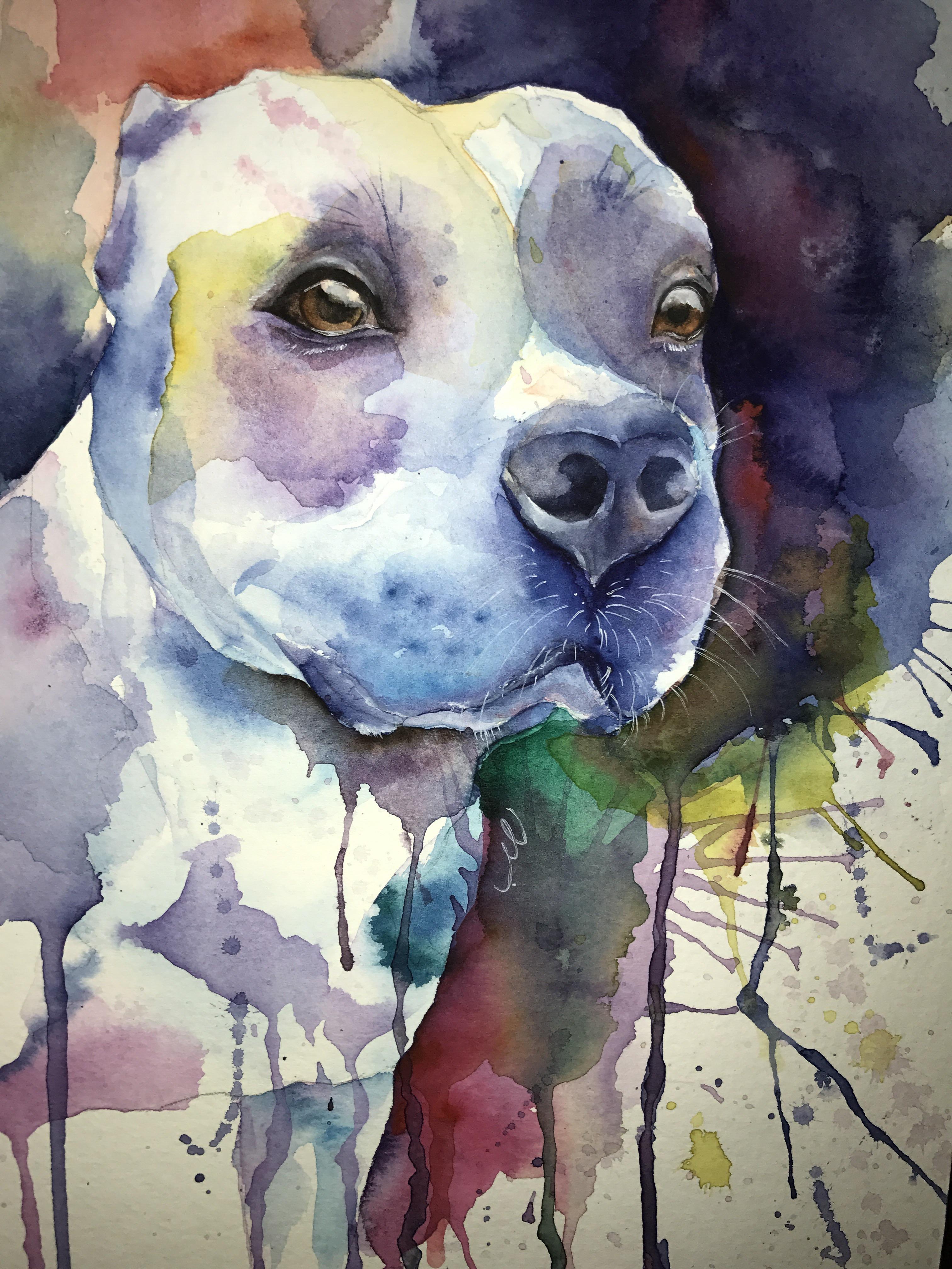 3024x4032 My Dog, Watercolour, A4 Art