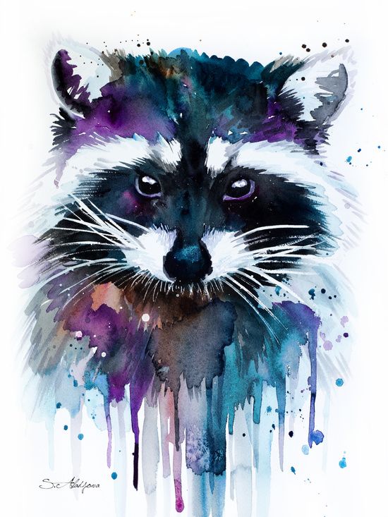 550x733 Raccoon, Watercolor, 300x700 Art
