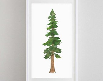 340x270 Redwood Painting Etsy