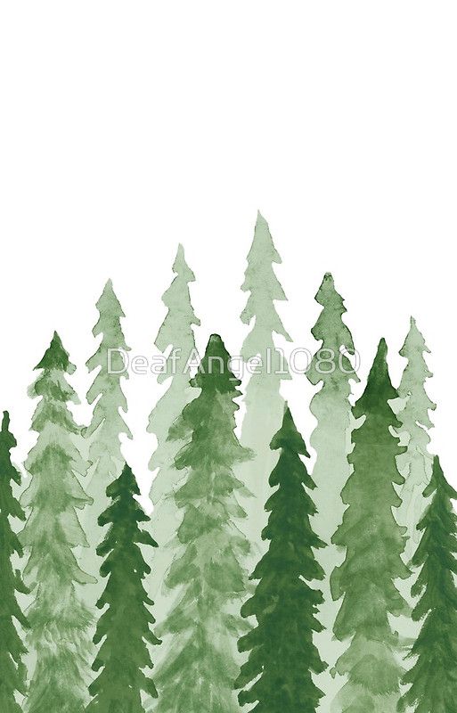 513x800 Watercolor Redwood Trees My Store Watercolor, Art