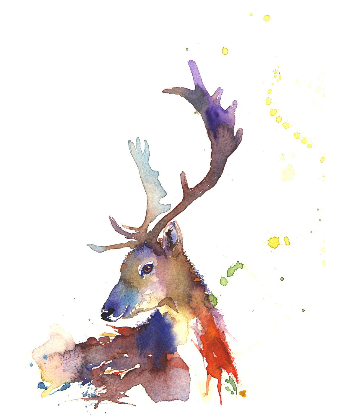 1181x1417 Patra Tawatpol