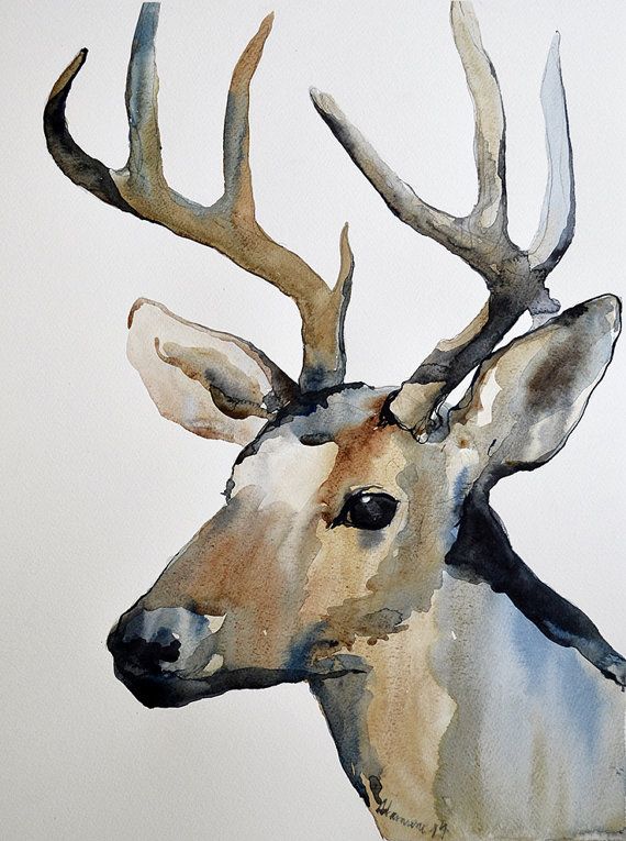 570x765 This Original Watercolor Painting Of A Reindeer Is Painted By Me