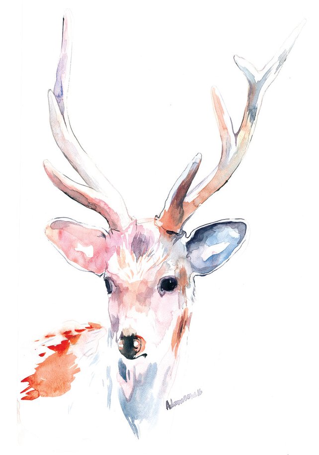 642x914 White Reindeer Watercolor Art Digital Print A4 A3 8x11 Etsy