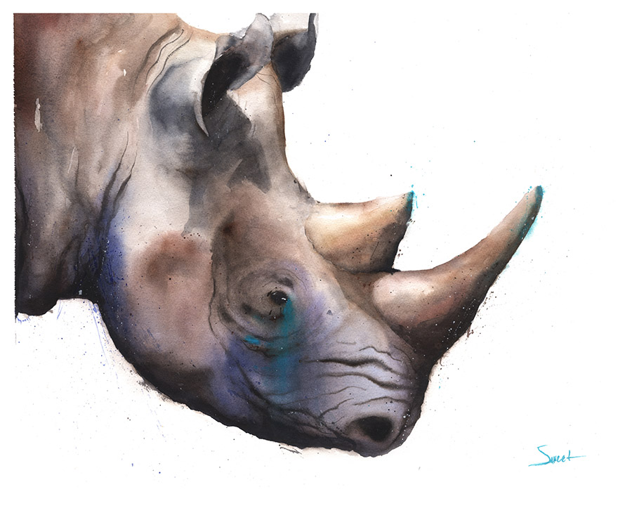 900x720 Black Rhino Watercolor Print Watercolor Animal Paintings