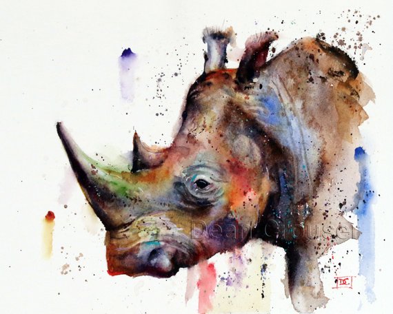 570x456 Rhino Watercolor Print Wildlife Art By Dean Crouser Etsy