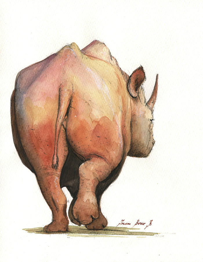 700x900 Rhino Back Painting By Juan Bosco