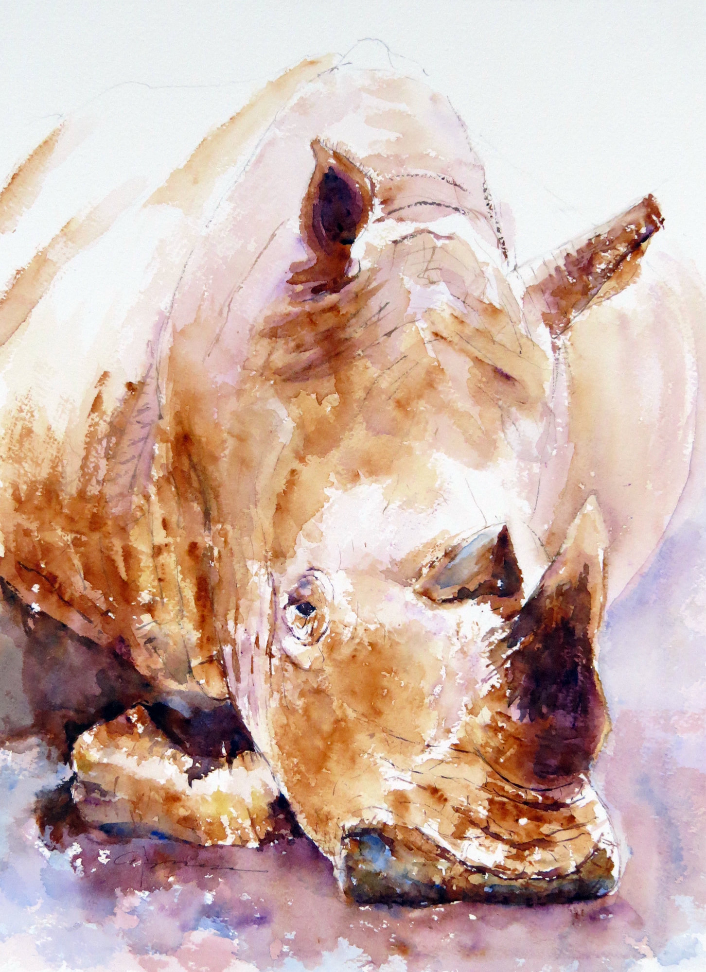 1452x2000 Rhino Watercolor Painting