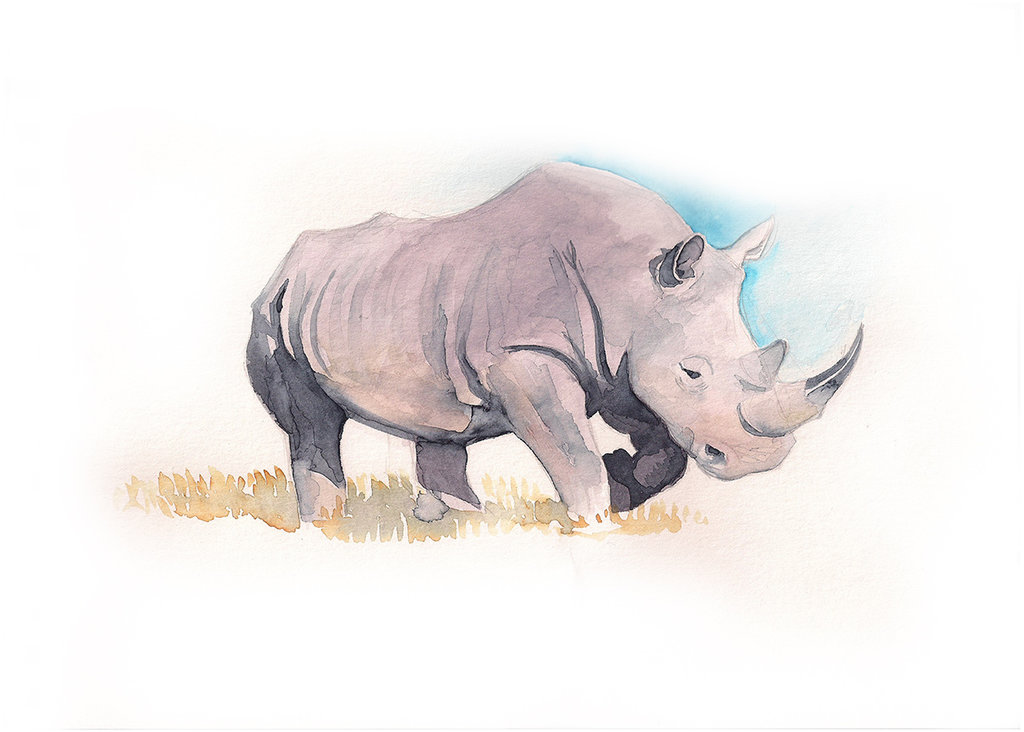 1024x732 Rhino Watercolor By Frankenstoner