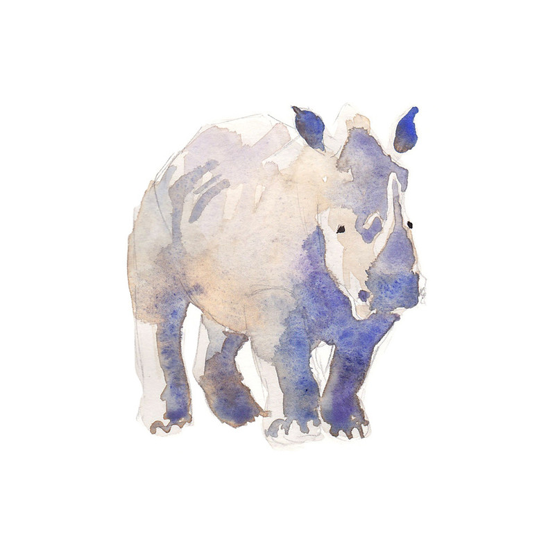 800x800 Watercolor Rhino Wall Art Prints By Haley Mistler Minted