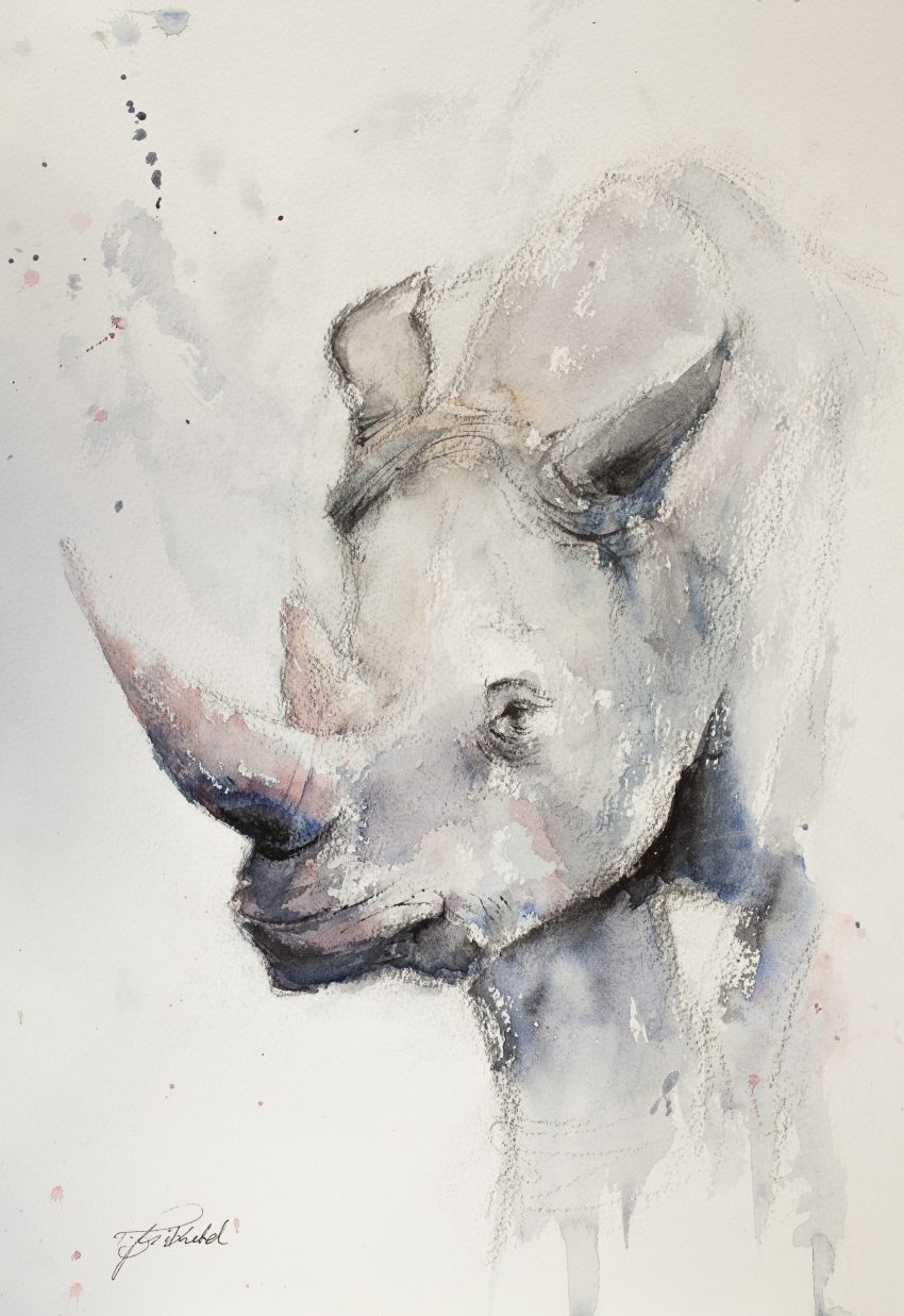 850x1237 Watercolour Rhino