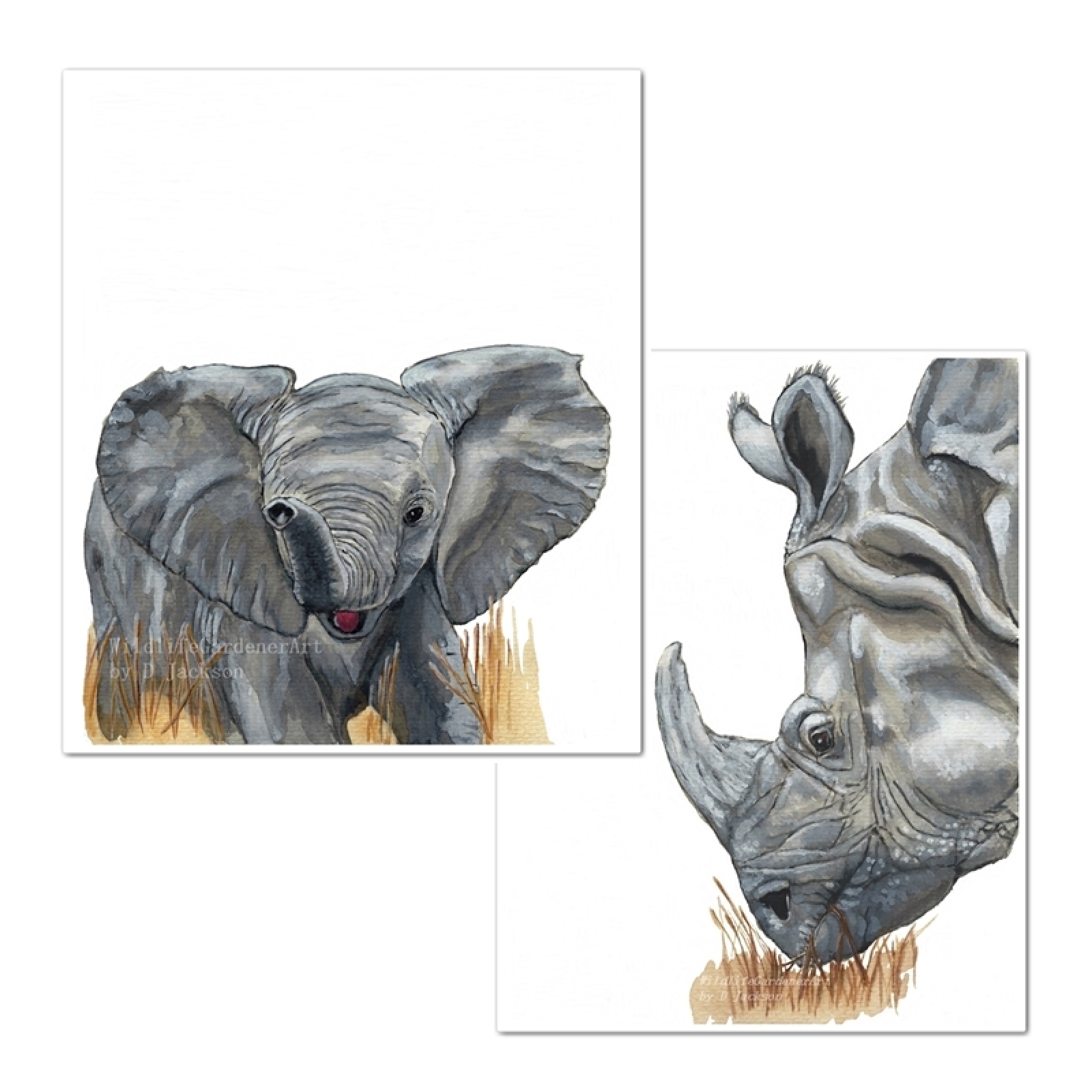1600x1600 Baby Elephant And Rhino Watercolor Art Prints, Set Of 2 Wildlife