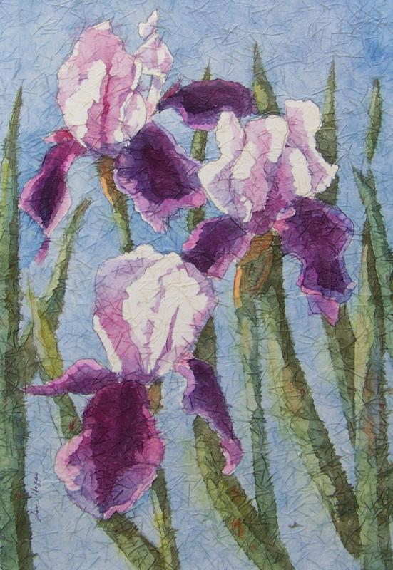551x800 Irises