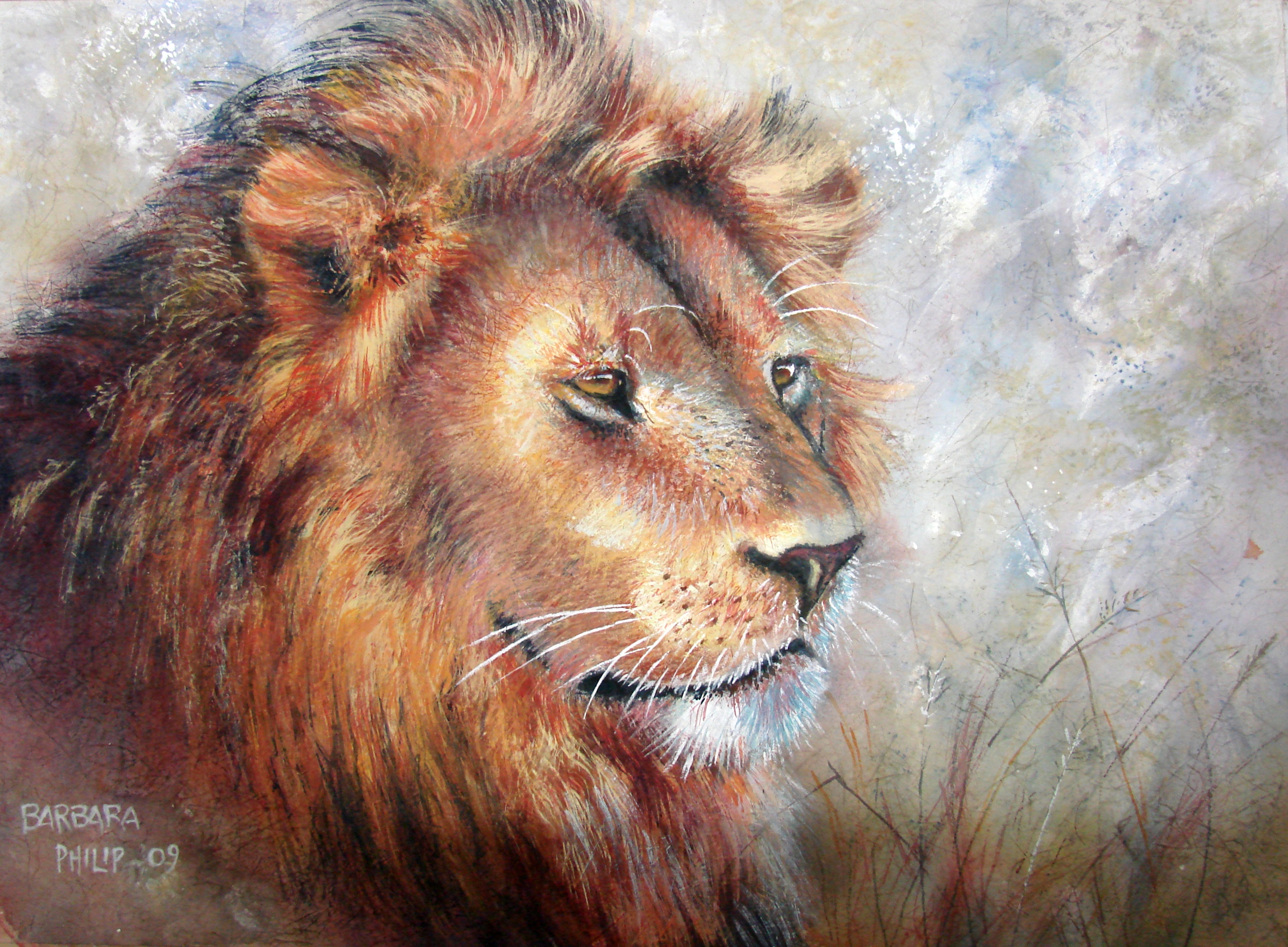 2965x2180 Lion On Rice Paper Barbara Philip