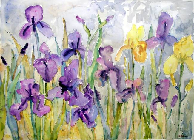 650x471 Romantic Ruffles, Watercolor Painting Purple Irise By Miriam Schulman