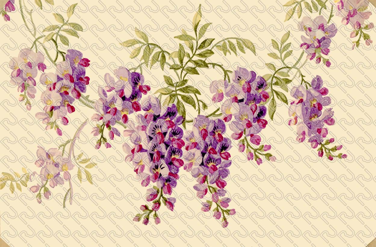 1249x823 Wisteria Romantic Watercolor Painting (9130)