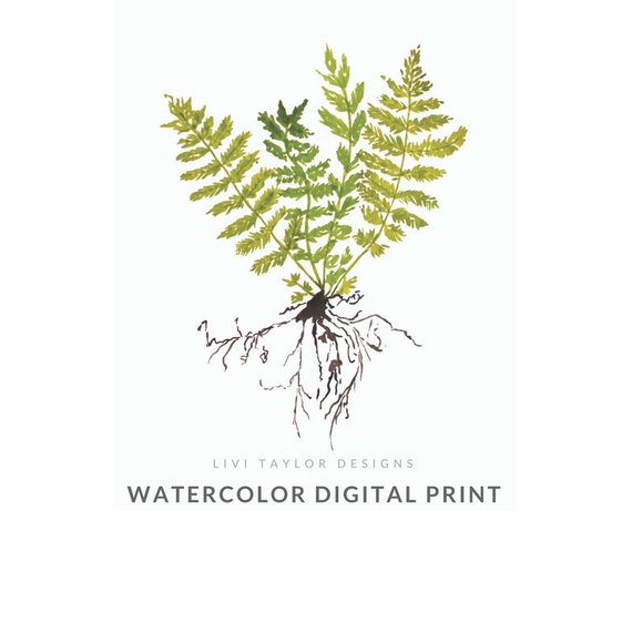 570x570 Plant With Roots Watercolor Painting Nature Printable Art Etsy