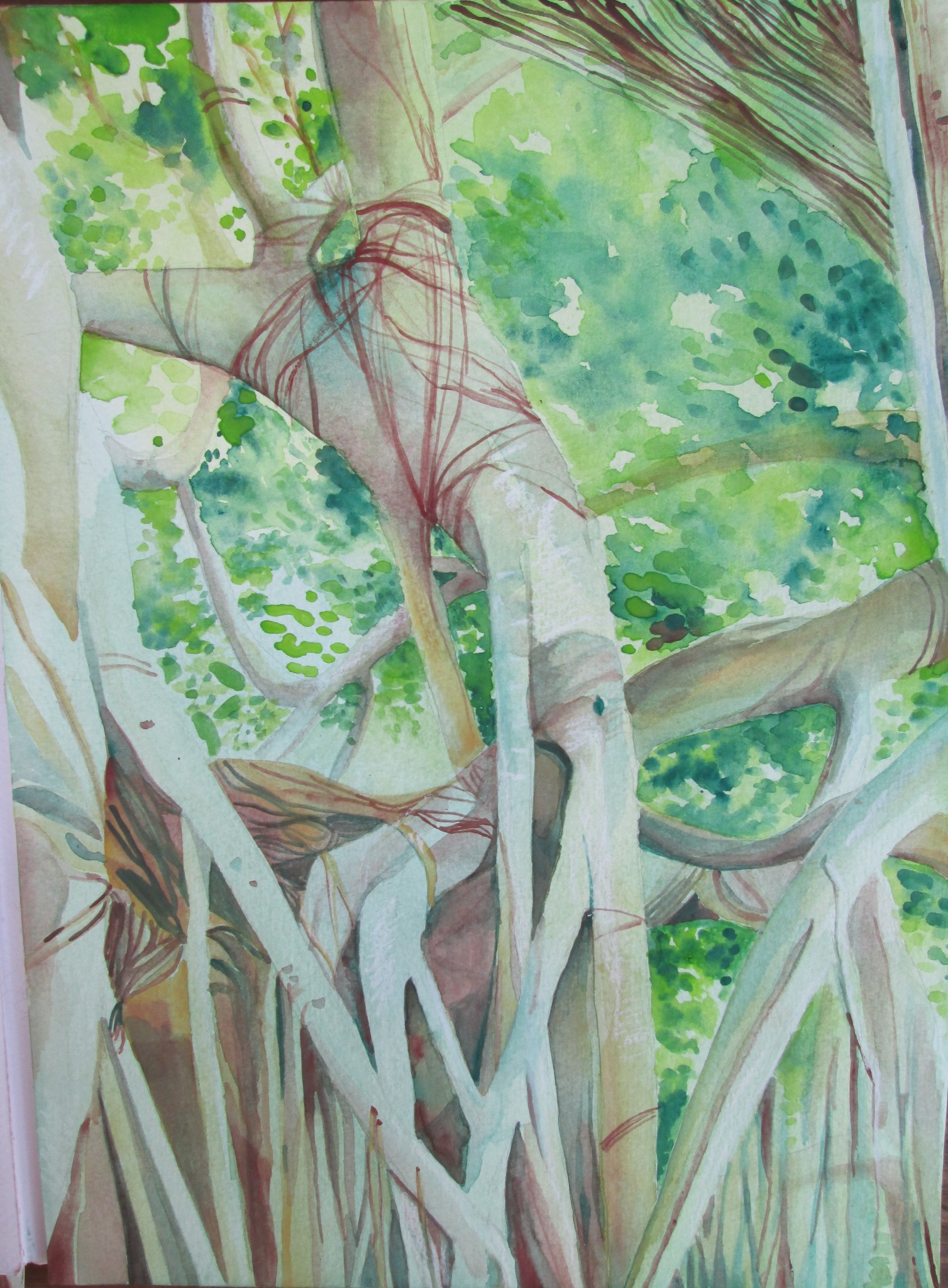 1508x2048 Dancing Roots Watercolor!