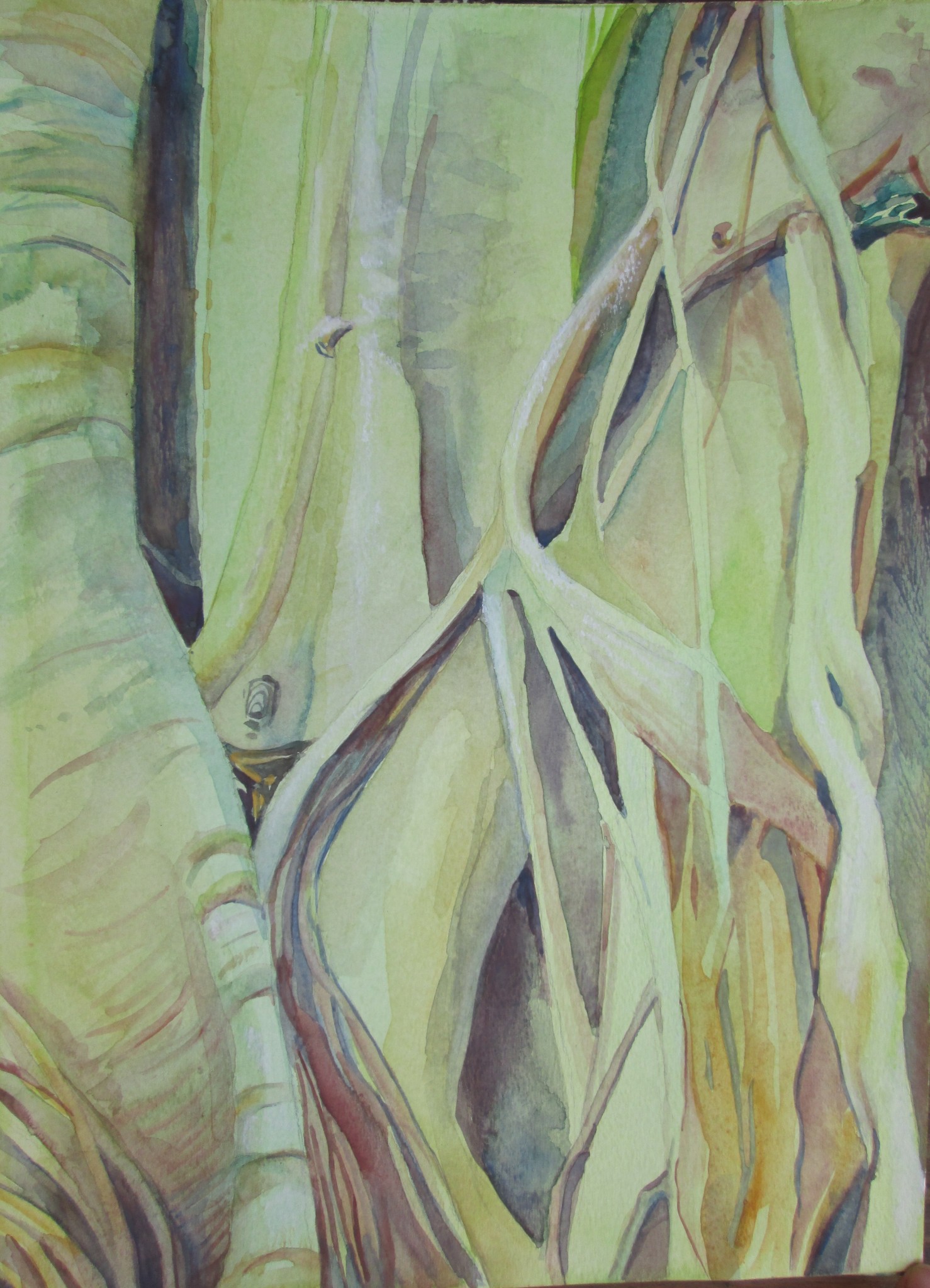 1478x2048 Dancing Roots Watercolor