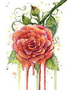 223x300 Watercolor Flower Paintings Fine Art America