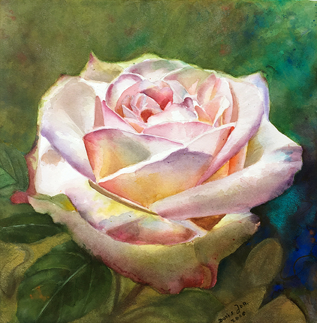 624x635 Watercolor Painting Of A Beautiful White Pink Rose Watercolor