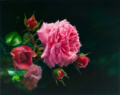 482x380 Flower, Rose, Oil Painting Of Pink And Red Roses On Black
