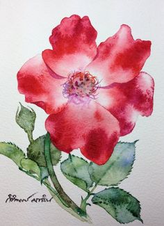 236x325 45 Best Roses Watercolor Paintings Images In 2018