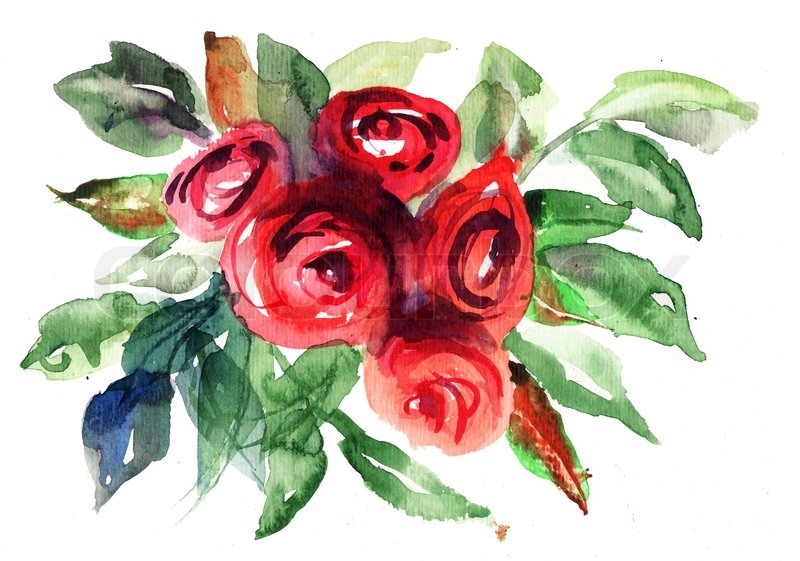 800x561 Beautiful Roses Flowers, Watercolor Painting Stock Photo Colourbox