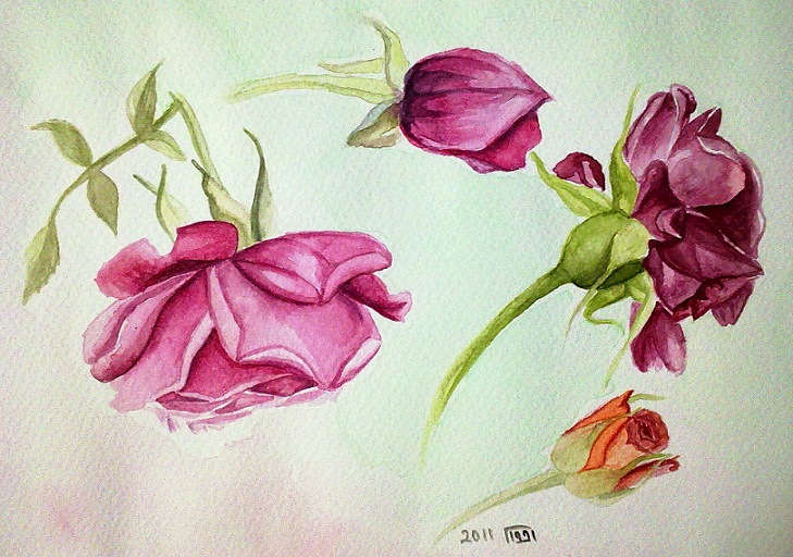 729x512 Watercolor Painting Red Roses Zeinab1361art