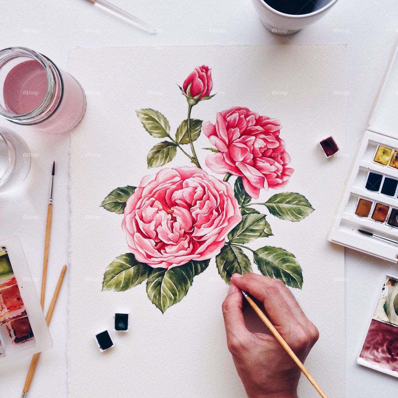 1280x1280 Roses Watercolor Painting . Damask Rose Watercolor