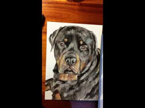 Rottweiler Watercolor