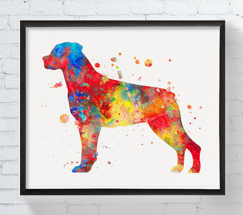 500x441 Rottweiler Art, Rottweiler Print, Rottweiler Ornament, Watercolor