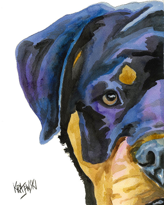 570x713 Rottweiler Art Print Of Original Watercolor Painting
