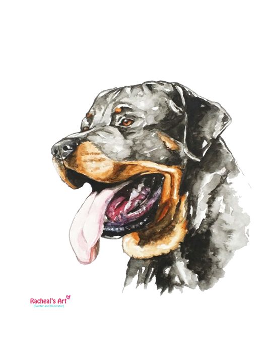 520x720 Rottweiler Watercolor Painting