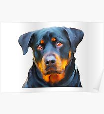 210x230 Rottweiler Watercolor Posters Redbubble