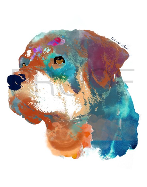 570x725 Rottweiler Rottie American Rottie Caesar The Etsy