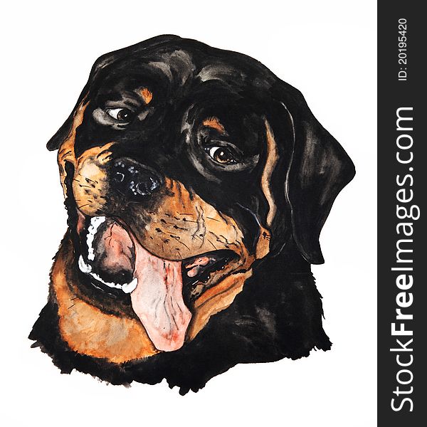 600x600 Portrait Of A Rottweiler. Drawing Watercolor