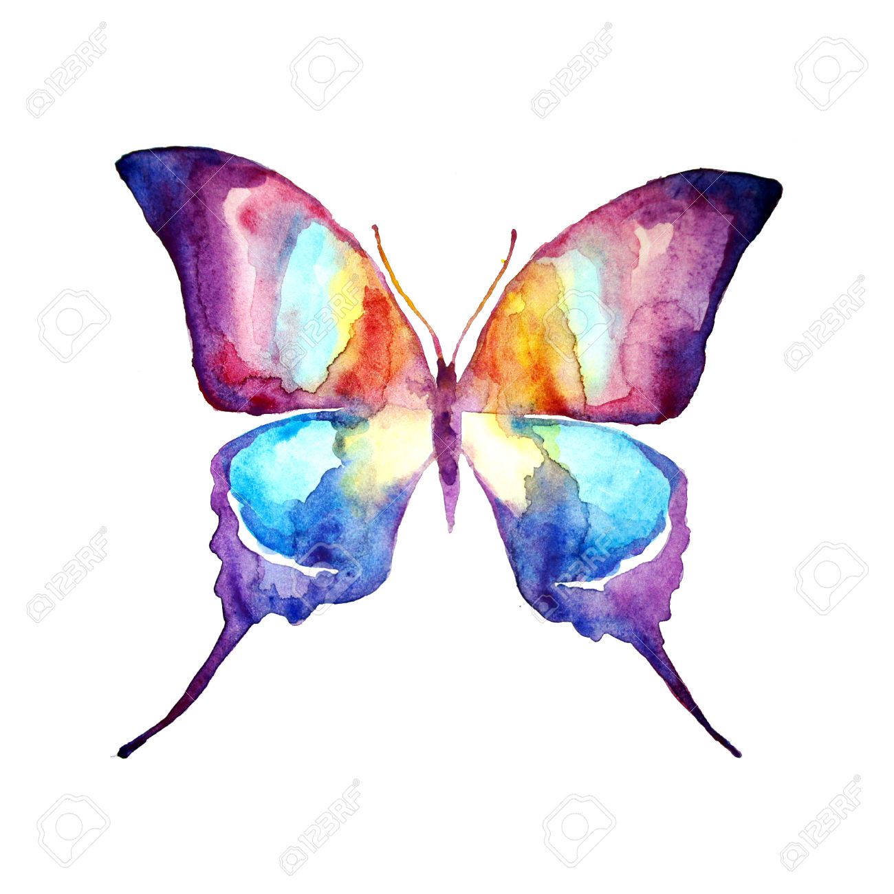 1300x1300 Butterfly,watercolor Design Tattoos Butterfly