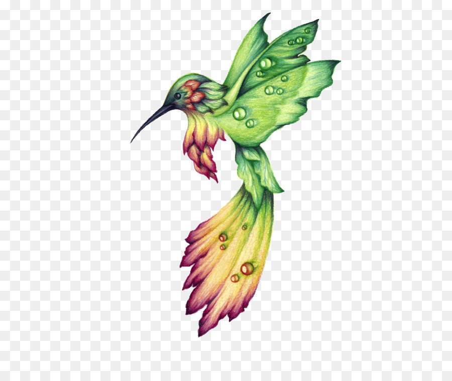 900x760 Hummingbird Drawing Birds Watercolor Painting