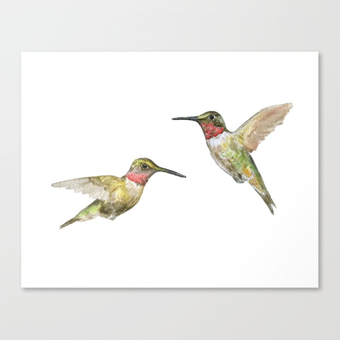 700x700 Ruby Throated Hummingbird Watercolor Canvas Print By Susanwindsor
