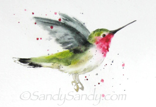 600x414 Sandy Sandy Art Hummingbird Painting