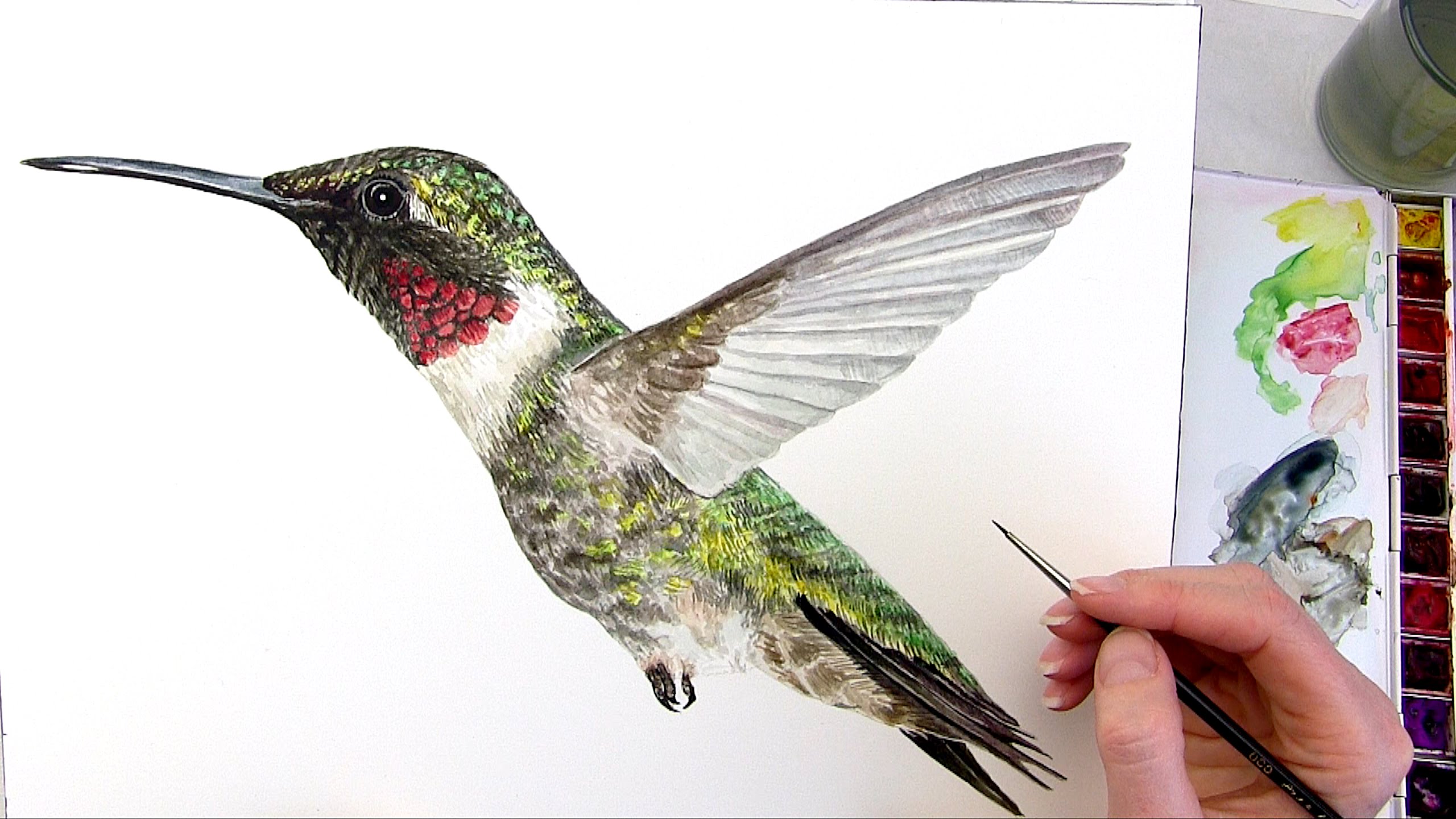 2560x1440 How To Paint Shiny Coloured Feathers In Watercolor