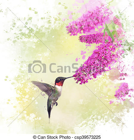 450x470 Hummingbird And Butterfly Bush Watercolor. Digital Painting Of