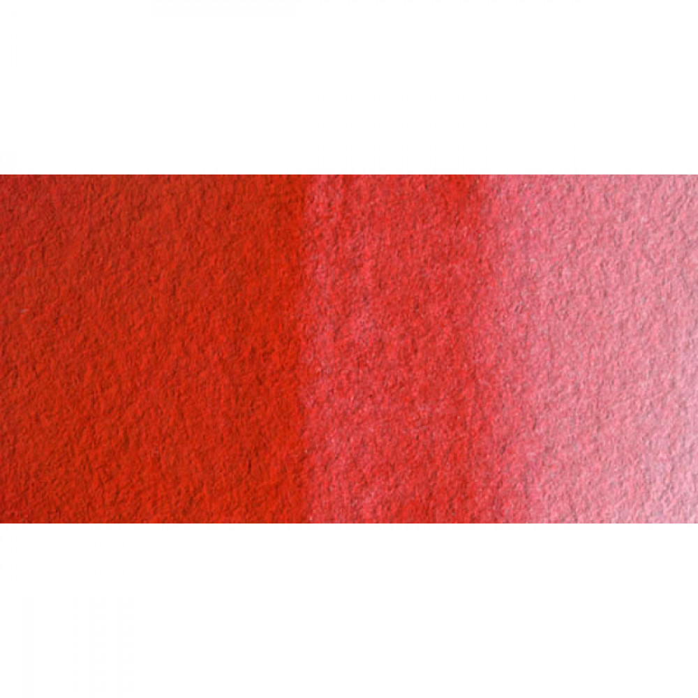 1000x1000 11 Tab St. Petersburg Ruby 323 Watercolor