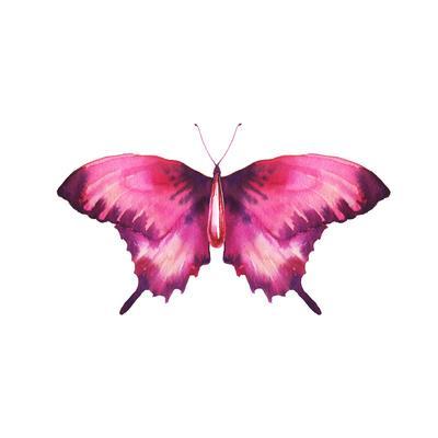 400x400 Watercolor Red Butterfly With Ruby Art Print By Eisfrei