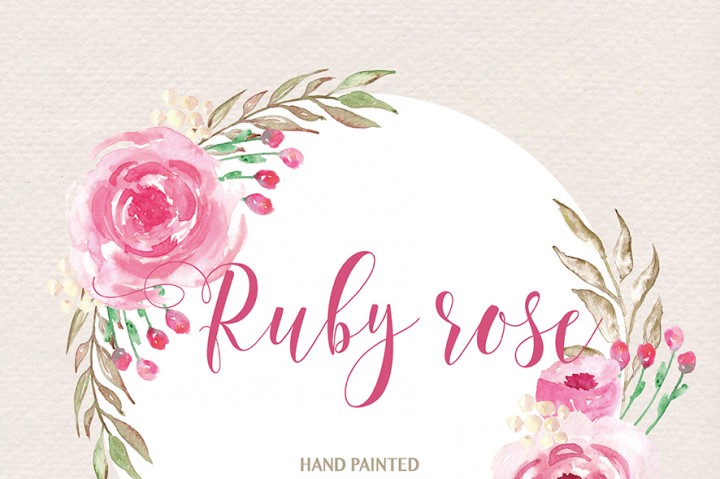 720x479 Watercolor Ruby Rose Clipart, Watercolor Flower, Pink Floral