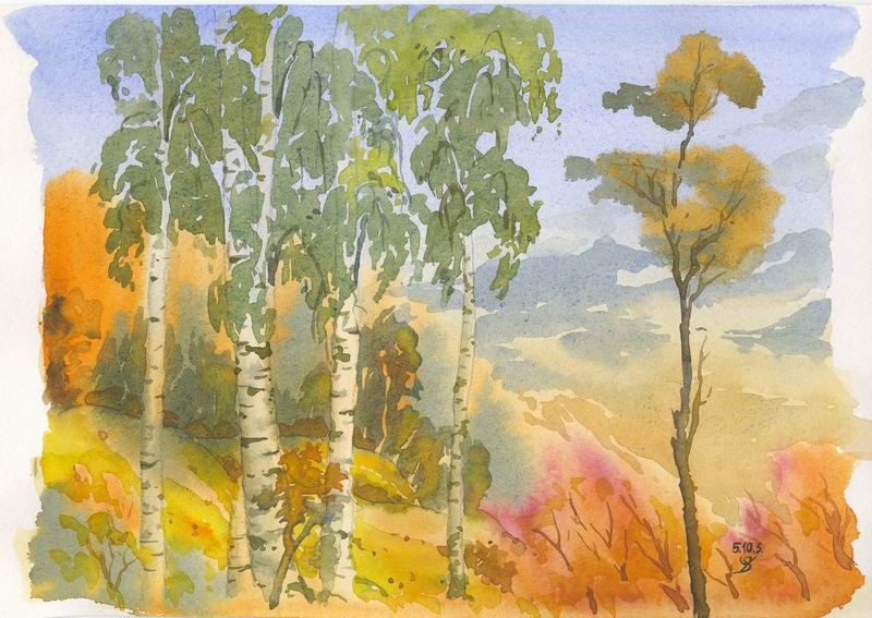 800x567 The Fall (Russian Birches) Watercolors Birch