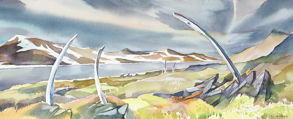 1000x407 Russian Arctic David Mceown Artist Journeys