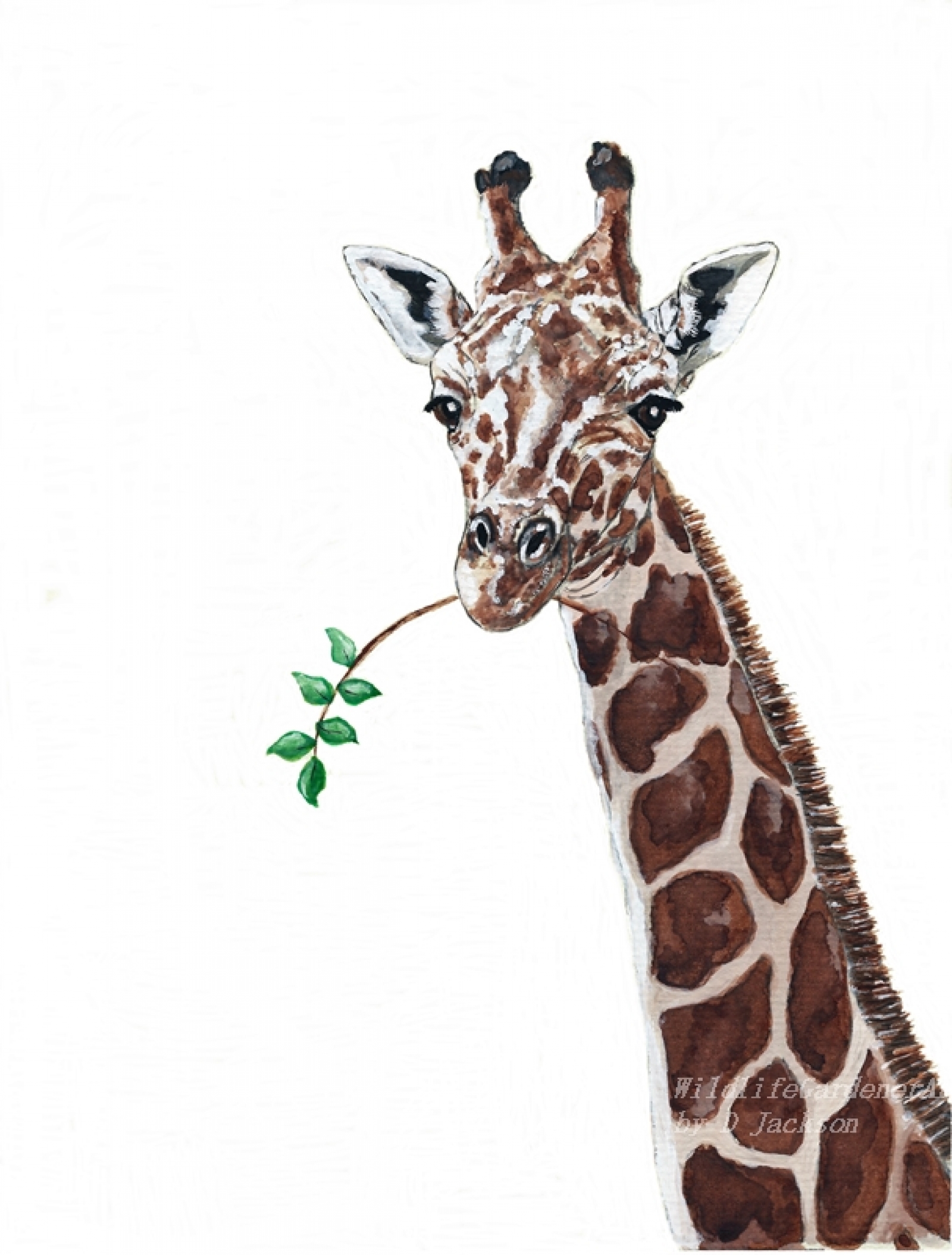 1600x2109 Giraffe Watercolor Art Print, Safari Animal Art Wildlife
